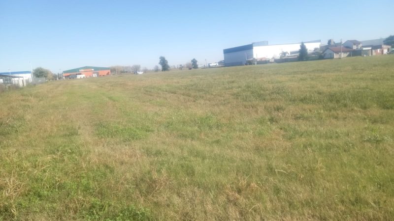 Alfonsina Storni 4400