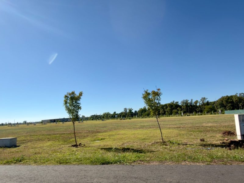 Vida Lagoon 942 (19)