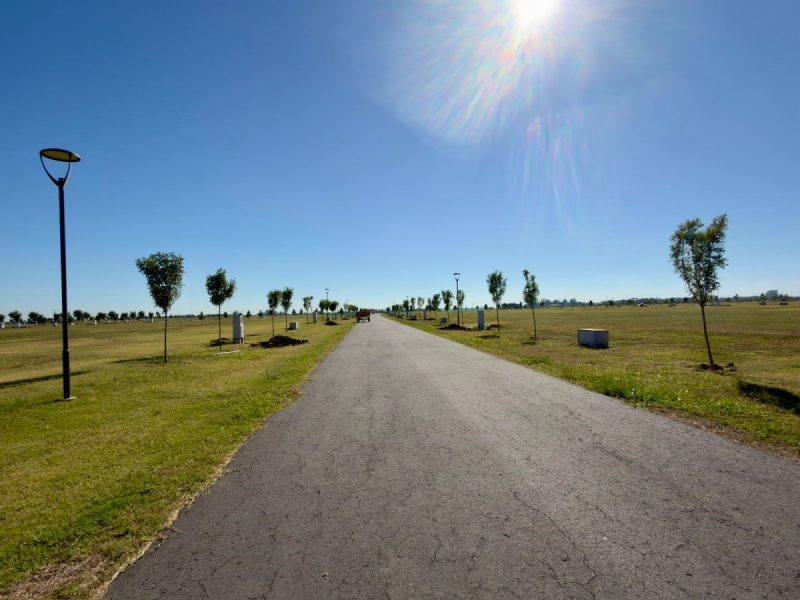 Vida Lagoon 942 (22)