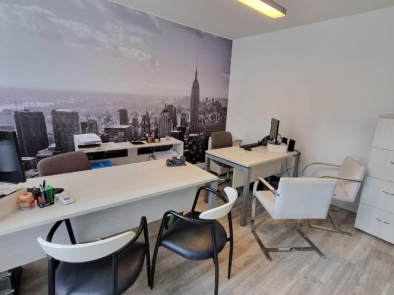 WhatsApp Image 2026-02-20 at 5.28.04 PM (2)