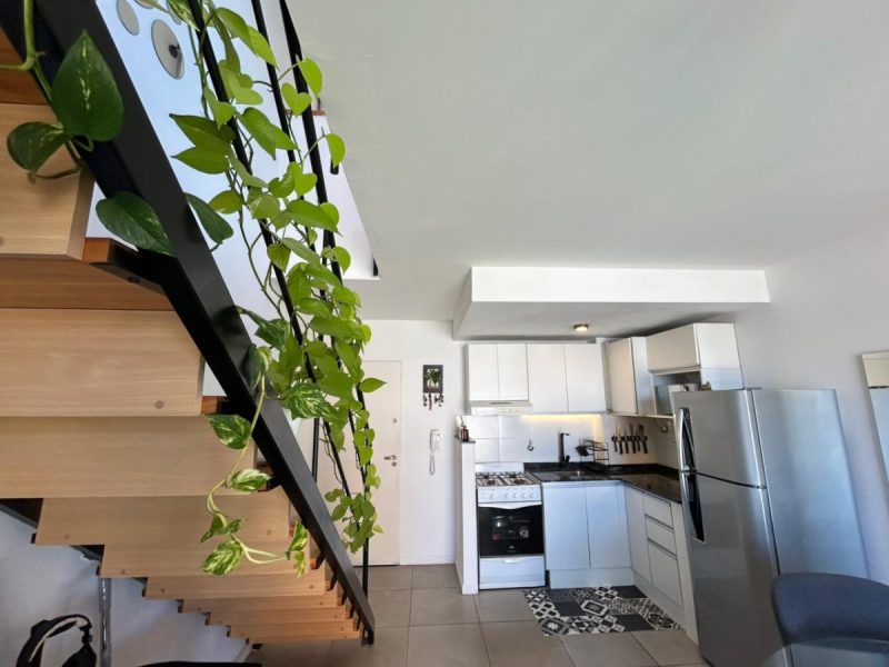 WhatsApp Image 2026-03-11 at 1.44.05 PM