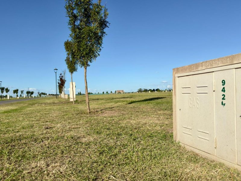 WhatsApp Image 2026-03-16 at 8.44.59 AM (1)