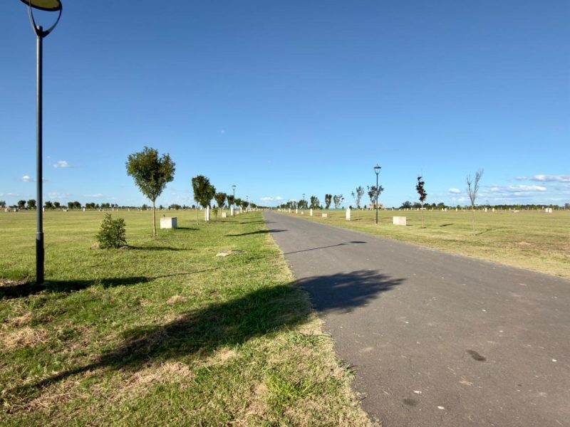 WhatsApp Image 2026-03-16 at 8.45.06 AM (3)