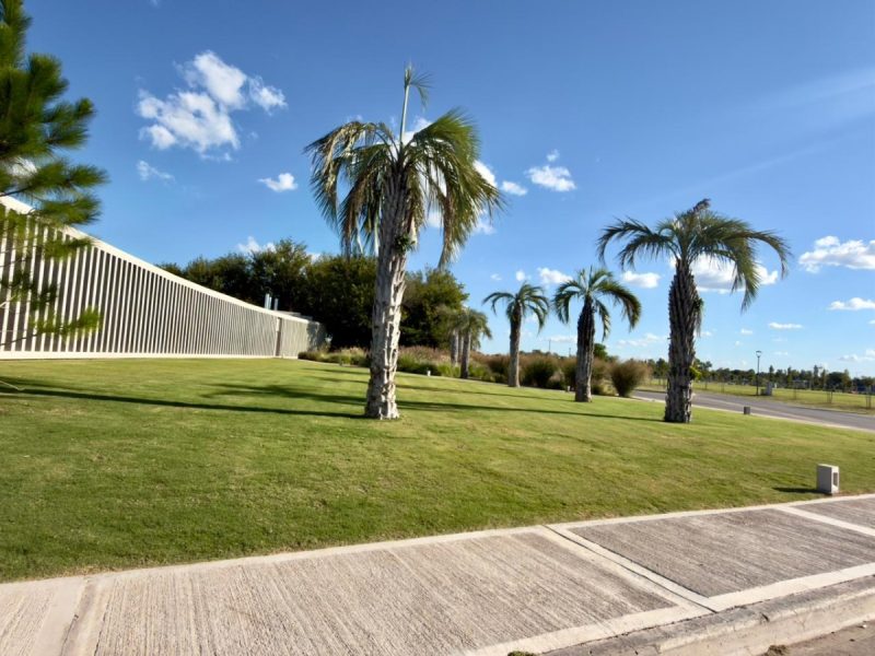 WhatsApp Image 2026-03-16 at 8.45.11 AM (1)