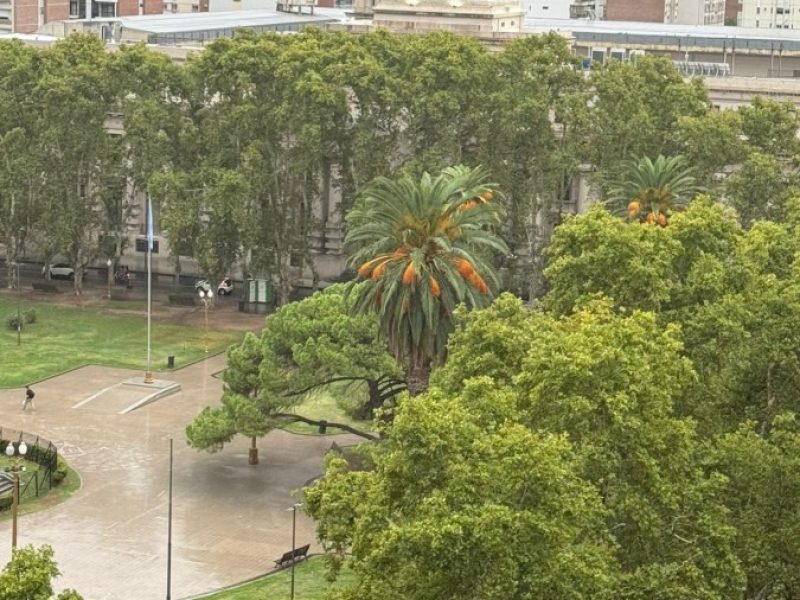 WhatsApp Image 2026-03-20 at 1.04.36 PM