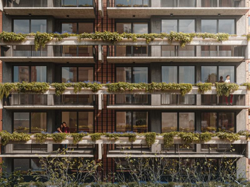 WhatsApp Image 2026-03-20 at 12.31.24 PM