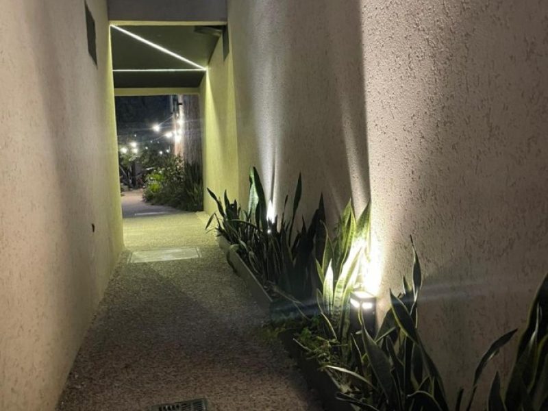 WhatsApp Image 2026-03-30 at 9.58.15 AM (3)